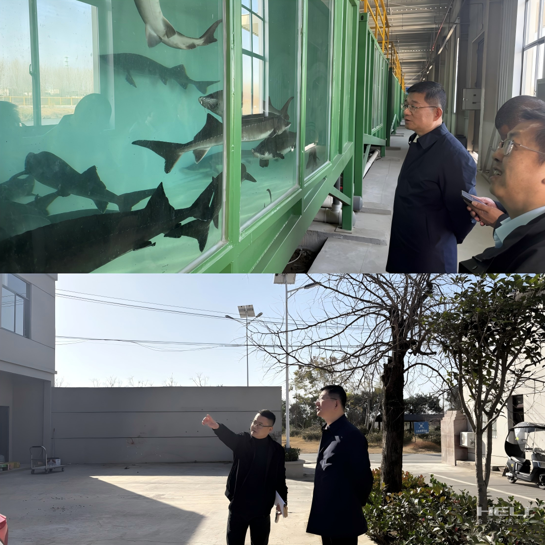 调研“智慧渔场”及社区集体经济发展.png
